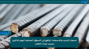 أسعار الحديد والأسمنت ترتفع في السوق المحلية اليوم الاثنين بسبب زيادة الطلب